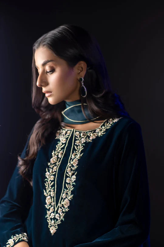 Veezal Embroidered Velvet Dress with Embroidered Karandi Shawl - VL990