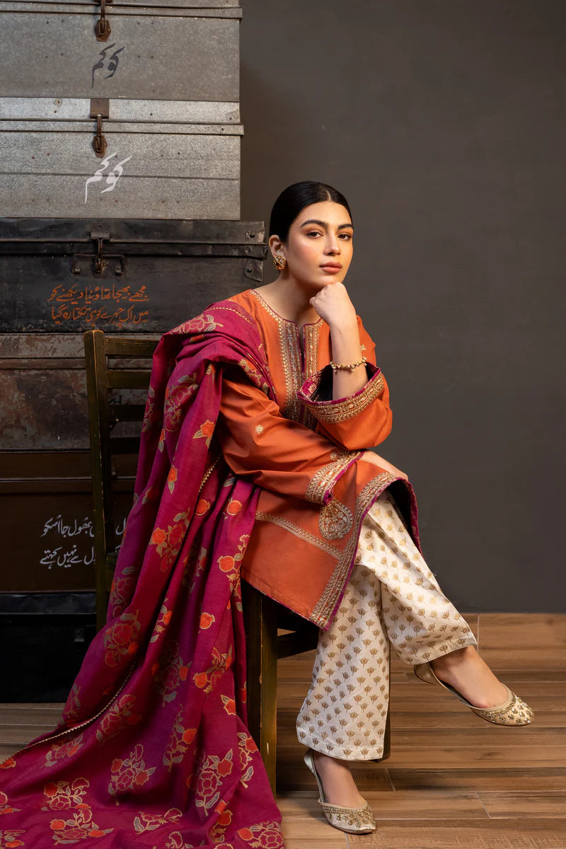 VL863 3pcs Shirt embroidered Sleeve embroidered Dhanak embroidered shawl