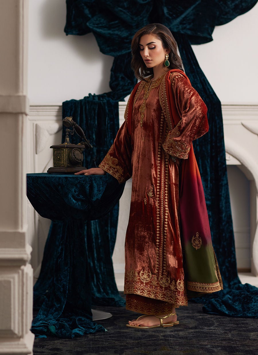 Veezal Embroidered Velvet Dress with Embroidered Karandi Shawl - VL941