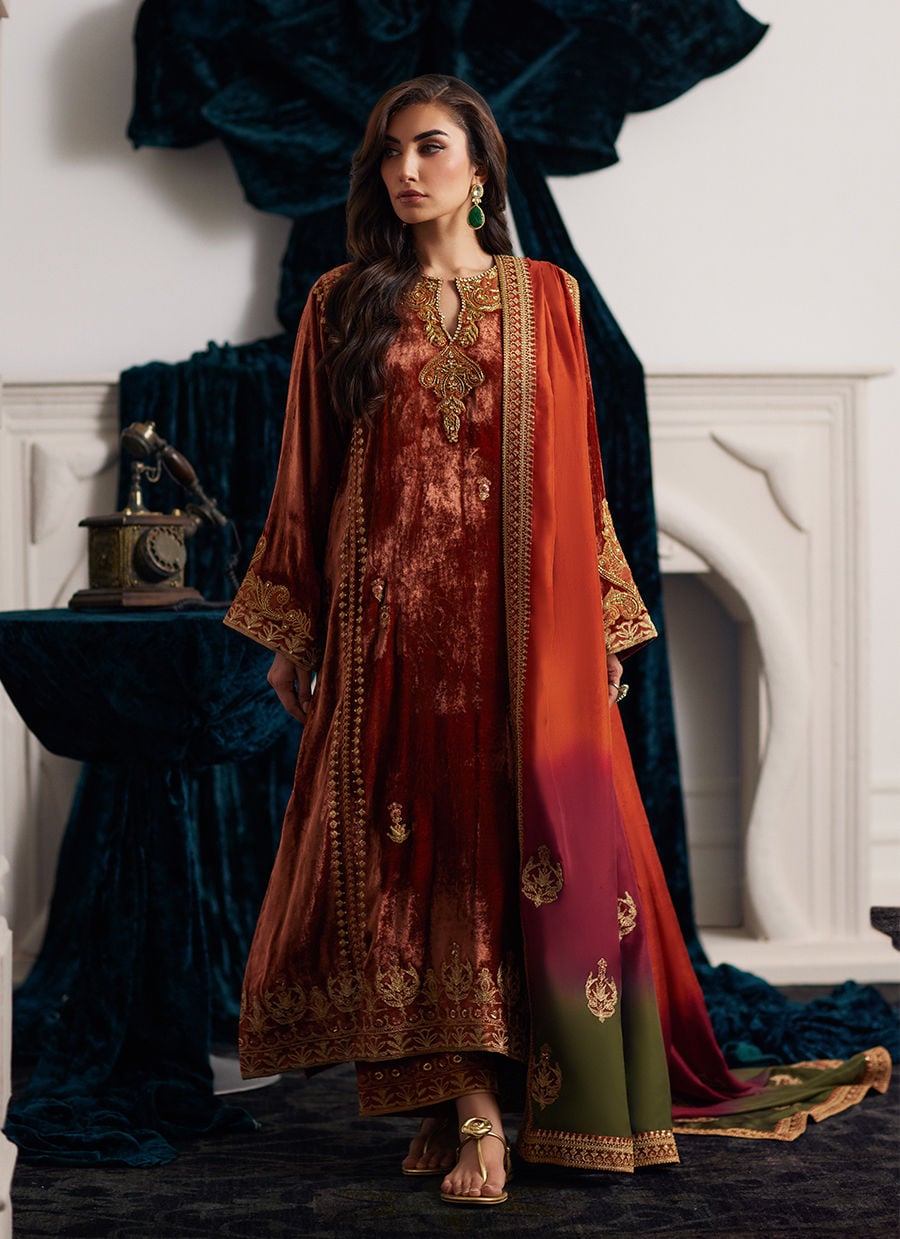 Veezal Embroidered Velvet Dress with Embroidered Karandi Shawl - VL941