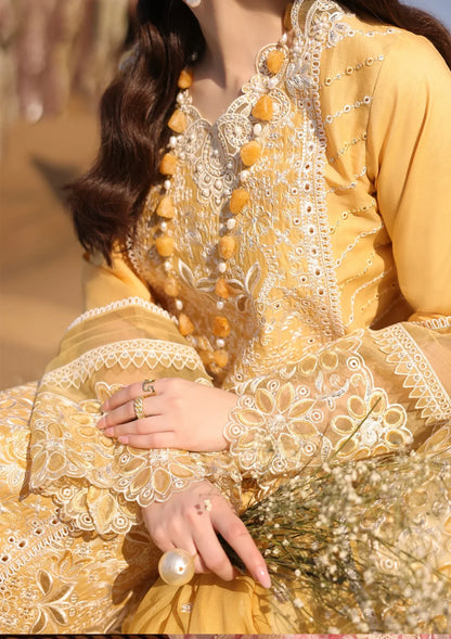 Chikenkari Qalamkar Embroidered 3 PC Lawn - VL1293