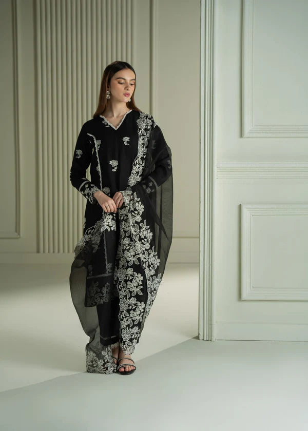 RAVEN MESH- 3PC EMBROIDERED LAWN SUIT - VL1030