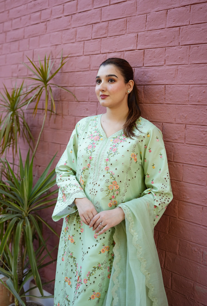 Aneela - Summer 3PC Lawn Embroidered Suit - VL1419