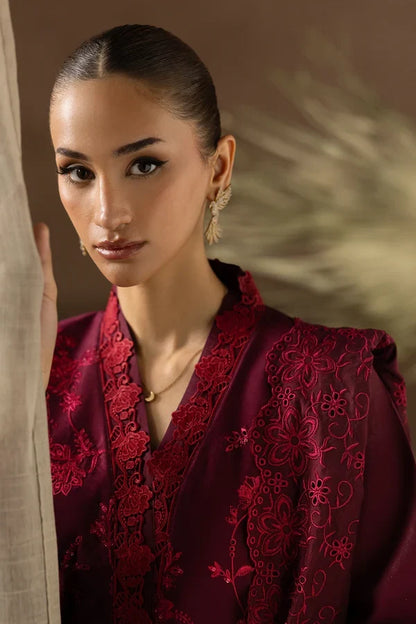 Raj Bari - Winter 3PC Airjet Dhannak Dress With Embroidered Dhannak Shawl - VL 1643